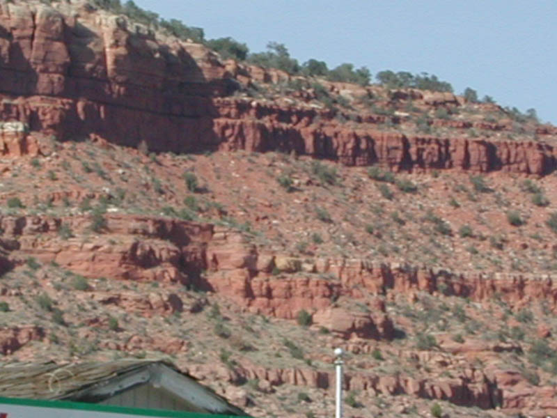 DSCN3847