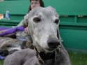 DSCN3707