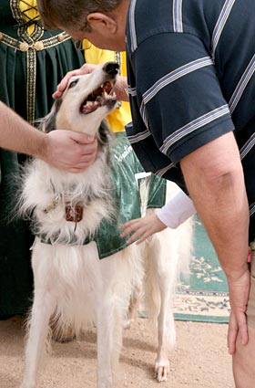 Yep, thats the spot.