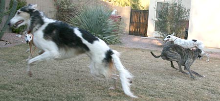 Playing