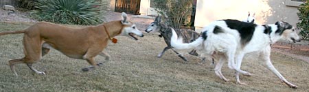 Playing
