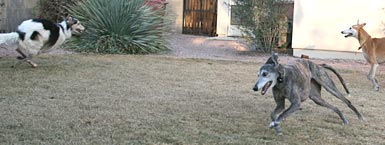 Playing