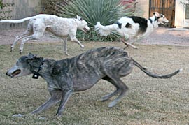 Playing
