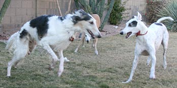 Playing