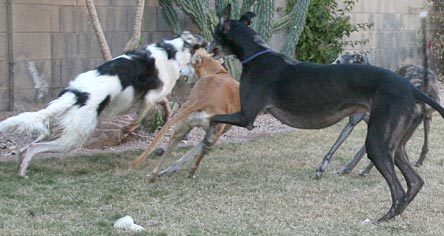 Playing