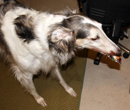 Sergei