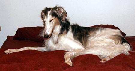 Sergei