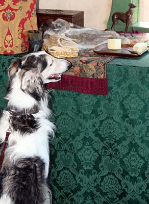 Sergei at the table