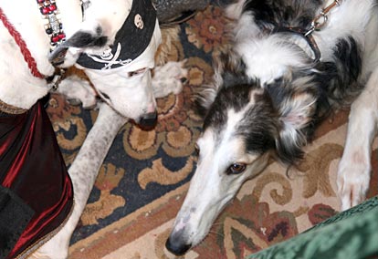 Captain Jack and Sergei