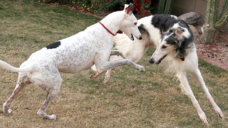 Jack and Sergei