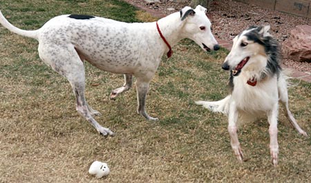 Jack, Sergei, and the ghost