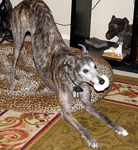 BJ banishing the ghost