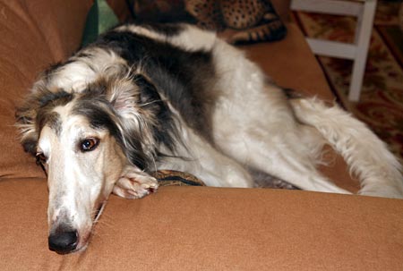 Sergei