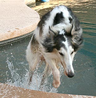 Sergei