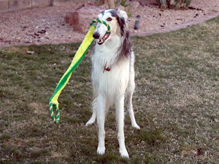 Sergei and his favorite toy