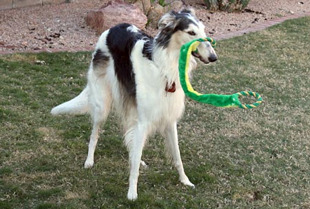 Sergei and his favorite toy