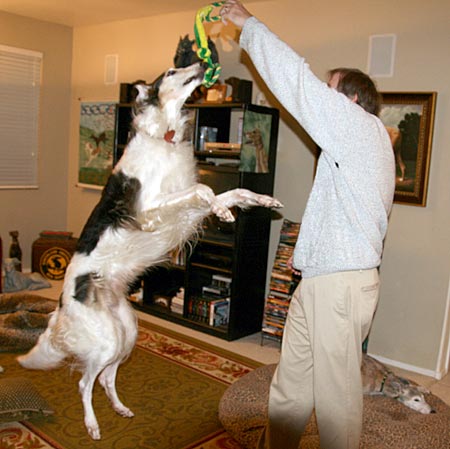 Playing with Sergei's favorite toy