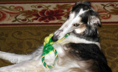 Don't touch my toy