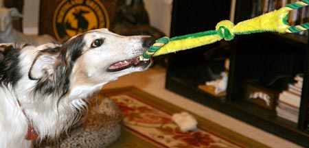 Sergei and his favorite toy