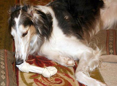 Working on the bone