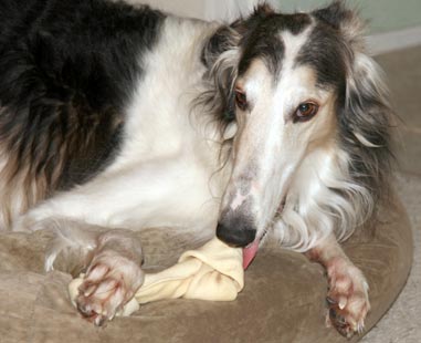 Lick the bone