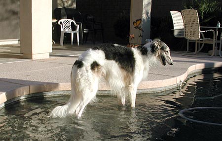 Sergei in the swimming pool