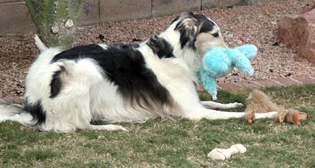 Sergei with three toys