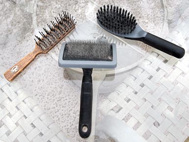 Brushes