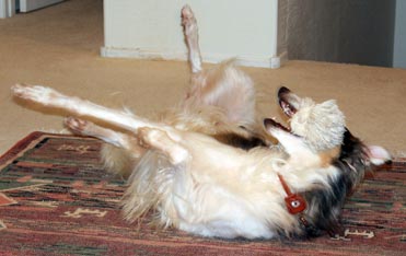 Sergei and rope bone