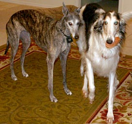 BJ and Sergei