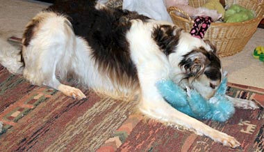 Sergei and doomed toy