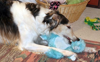 Sergei and doomed toy