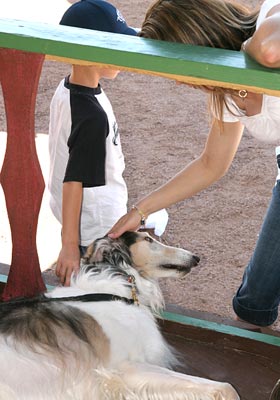 Patrons pet Sergei