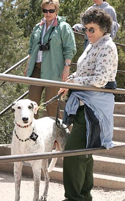 Jack and Grandma