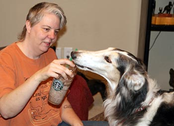 Sergei and Carol