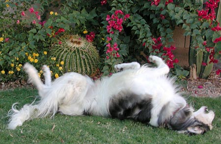 Sergei being goofy