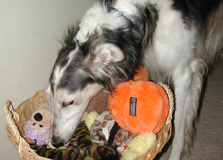 Searching through one of the toy baskets
